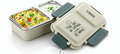 Tiffi Two Stainless Steel Lunch Box 2 Partition Mirror Finish